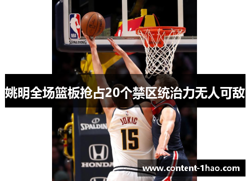 姚明全场篮板抢占20个禁区统治力无人可敌 姚明全场篮板抢占20个禁区统治力无人可敌
