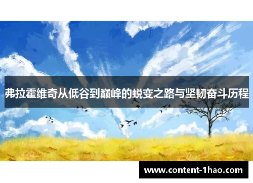 弗拉霍维奇从低谷到巅峰的蜕变之路与坚韧奋斗历程