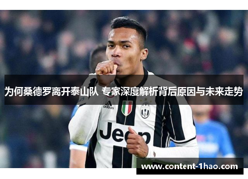 为何桑德罗离开泰山队 专家深度解析背后原因与未来走势
