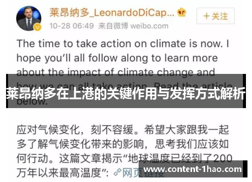莱昂纳多在上港的关键作用与发挥方式解析 莱昂纳多在上港的关键作用与发挥方式解析