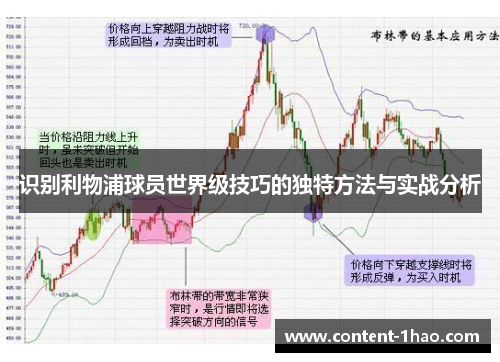 识别利物浦球员世界级技巧的独特方法与实战分析 识别利物浦球员世界级技巧的独特方法与实战分析