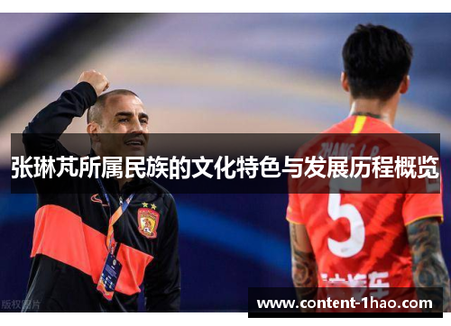 张琳芃所属民族的文化特色与发展历程概览