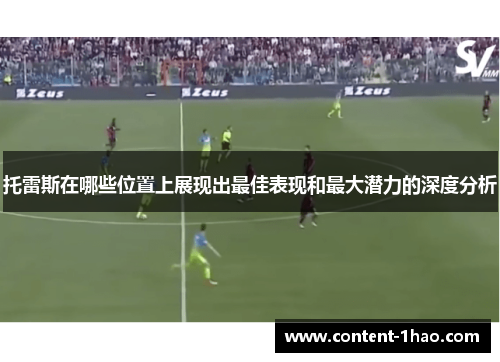 托雷斯在哪些位置上展现出最佳表现和最大潜力的深度分析