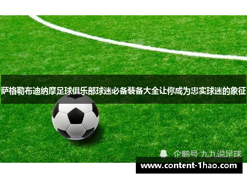萨格勒布迪纳摩足球俱乐部球迷必备装备大全让你成为忠实球迷的象征